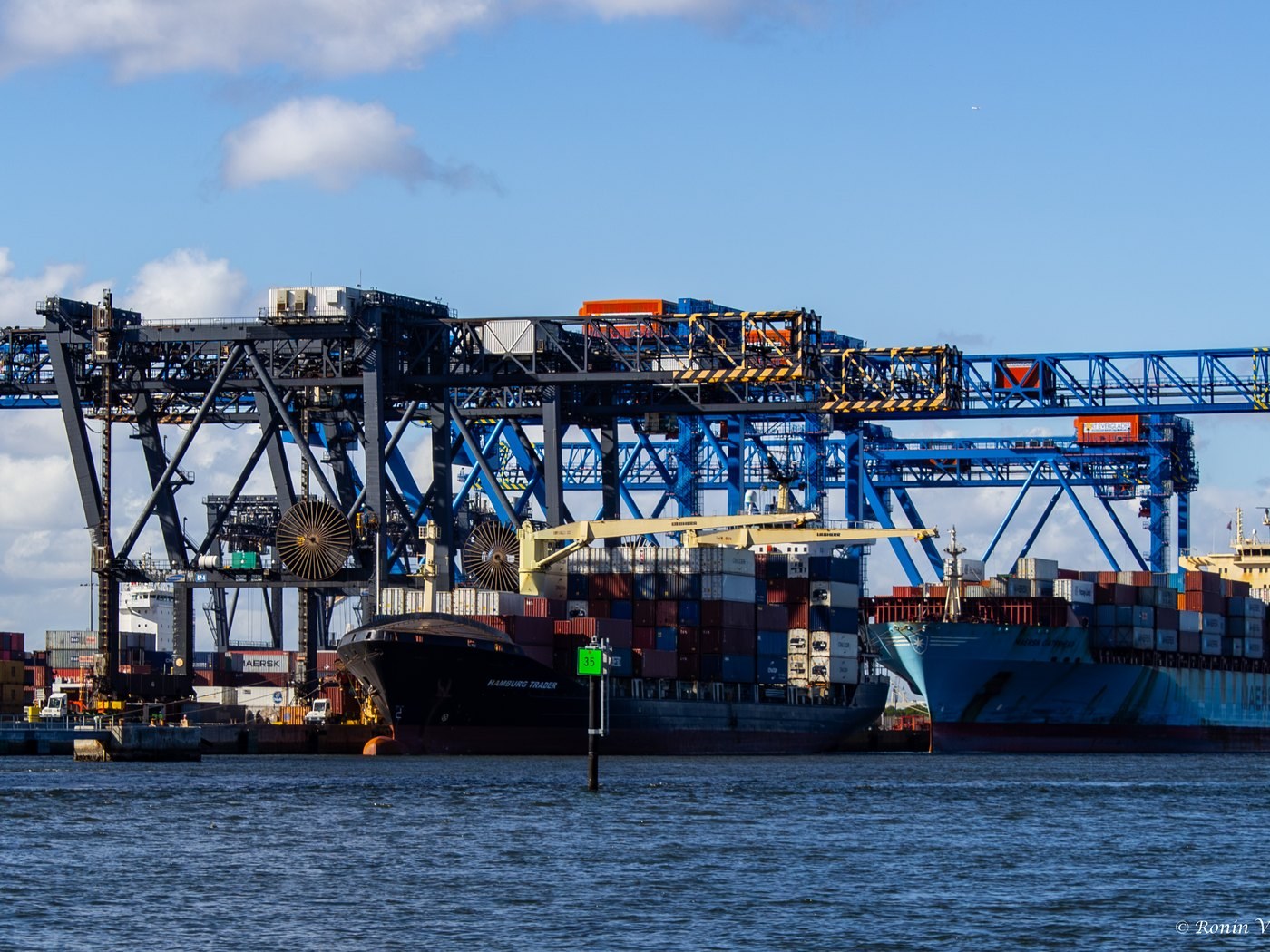 Container ship and gantry cranes at Port Everglades